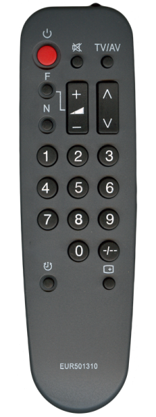 Panasonic EUR501310